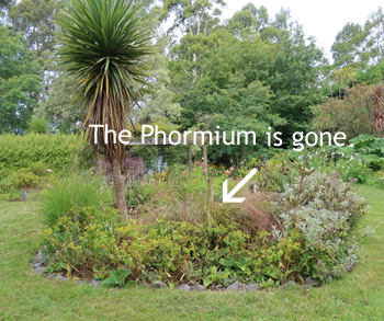  It was extremely old and messy, completely falling apart. 