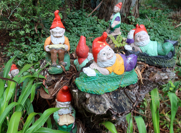  Seriousl starting to rot. 