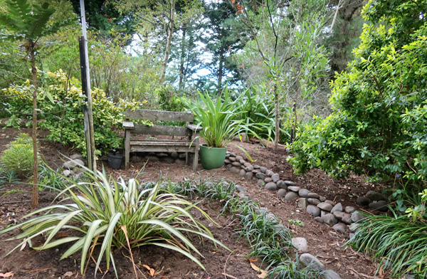  Just needs more compost and organic matter on the shrubs down the side and back. 