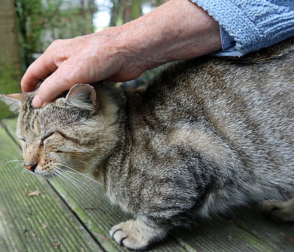 February 2026 February 2026