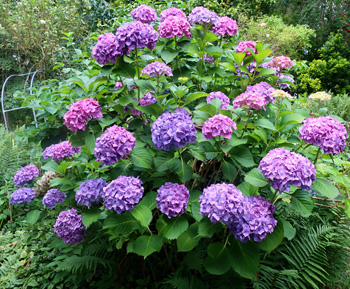  By the Laundry door. 