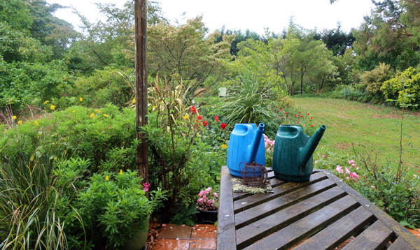 Taken on the patio on a cold, rainy day. You can see one of the Adirondack seats. Taken on the patio on a cold, rainy day. You can see one of the Adirondack seats.