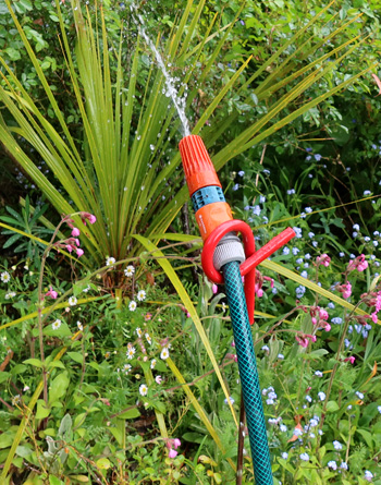  One of my little hoses. 