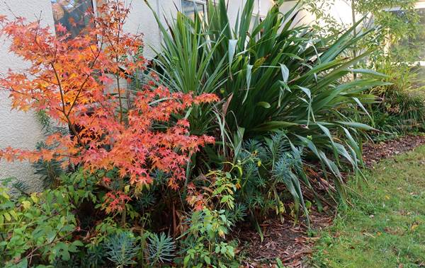  By the side of the house. 