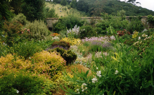  The English do this style of gardening so well... 