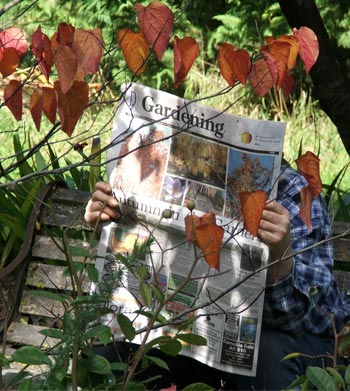  Moosey hiding behind the gardening news section. 
