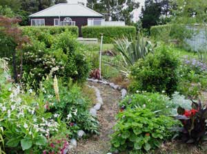  This photo was taken when Middle Path was first created, before the edging plants took over! 