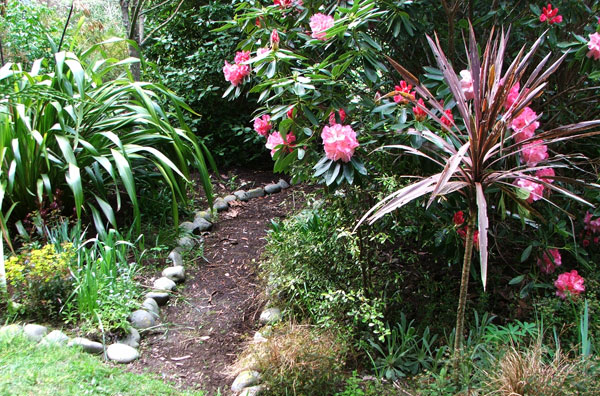  Past the rhododendron, looking back to the bridge. 