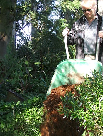  The Wattle Woods path is now covered in mulch. 