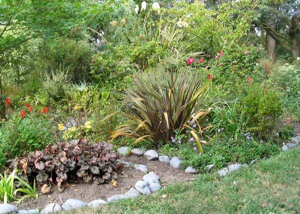  This garden gets very dry from mid-summer on. 