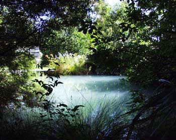  Home to two brown trout and the occasional frog. Only home to a dog once. 