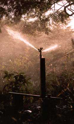  The garden would die dry without irrigation. 
