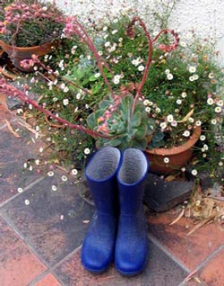  Moosey has been writing in her garden journal for nearly ten years. 