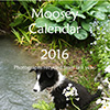 2016 Garden Calendars