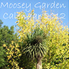 2012 Moosey Calendars