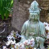 Statue with Blossom