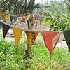 Frisbee Garden Bunting