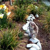 Daffodil Garden Path Cat