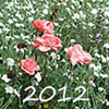 Garden Journal 2012