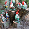 Gnomes and their Social Needs...