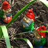 Seven Garden Gnomes