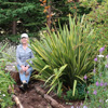 Five Years Growing - The Hump Garden