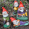 Inspired by my gnomes...