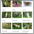 2012 Moosey Dog Calendar