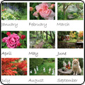 2012 Moosey Garden Calendar