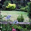 Flowers by the Lawn