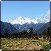 Westland's Glaciers