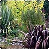 Autumn Plant Sales