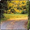  Round the Bend 