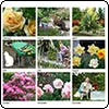 Moosey Garden Calendar