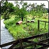 Barrel Water Bridge