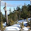 Mount Richardson