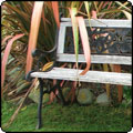Wobbliest Garden Bench in the World