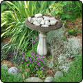  Birdbath 