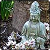  Statue with Blossom 