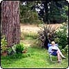 Gardening Verbs