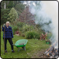  The Autumn Bonfire 