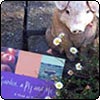  A Good Gardening Read 