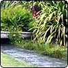 Water Garden Bridge