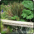  Willow Tree Garden Bridge 