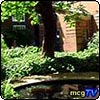 British Medical Association Garden