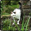  Armadale in Skye 