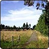 Summer Track