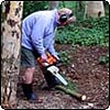 Cleaning Up After Trees