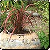 Concrete Pots