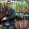 London Cordylines